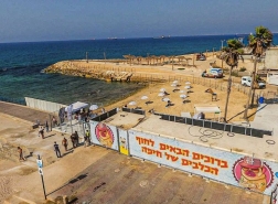 بلدية حيفا تدشن شاطئاً عاماً جديداً للكلاب!