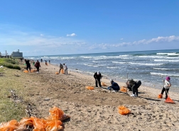 آلاف المتطوعين ينظفون الزفتة التي غطت الشواطئ: