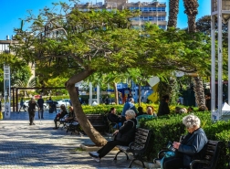 استبيان للسكان حول التشجير والتظليل في مدينة حيفا
