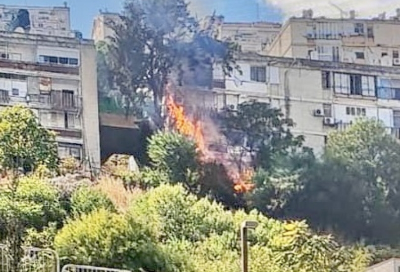 *اندلاع حريق في منطقة أشواك بين منازل في حيفا*