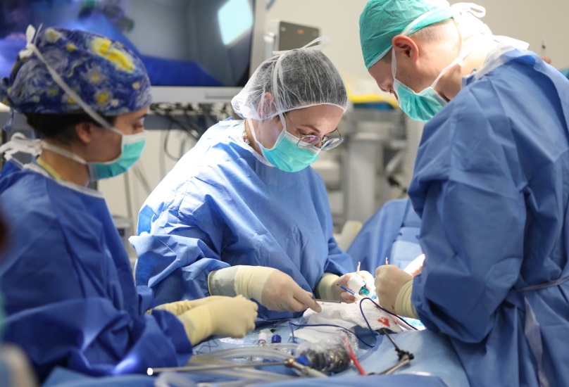 تصوير قسم الناطق بلسان رمبام